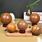 JIC Gem Healing Crystals Sphere Natural Golden Jade Crystal Ball Mineral Quartz Stone With Decorative Stand Home Decoration (70-80mm)