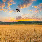 eyijklzo Bird Scarer Flying Kite Crops Farm Flying Bird Hawk Flying Kite