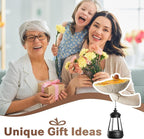 Mushroom with Snail and Lantern Cute Solar Statue Light Garden Decoration Resin Decoration Painted Design Craft Ornament for Indoor Outdoor Gift(Yellow)