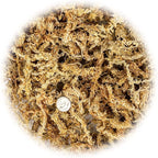 Premium New Zealand Sphagnum Moss by Gardenera - 20 Quart - Organic Hand Mixed Long Fibered Sphagnum Moss Orchid (4 Bags of 5 Quart)