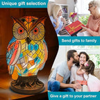 Tiffany Style Owl Table Lamps - Hand-Drawn Vintage Resin Colorful Tiffany Owl Lamp for Bedroom Living Room Nursery Office, Whimsical Animal Desk Lamp, Unique Gift for Mom.