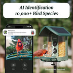 Beako™ Smart Bird Feeder with 4K Camera 4.4W Solar Roof for Outdoors - Ultra HD Live Stream & Photos, 10,000+ Bird Species AI-Identified, Real-Time Motion Detection, Easy Setup, Refill & Clean