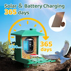 Bird Feeder with Camera Outdoor Solar: Smart Birdfeeder with AI Recognition - 2K HD Live Stream Video Camera for Outside Wild Birds Garden Decor - Bird Lover Gifts