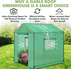 EAGLE PEAK 8x8 Portable Pop Up Greenhouse, Patented Center Lock Easy One Person Setup, Walk-in Outdoor Greenhouse with Gable Roof, Weight Bags, Zippered Doors & Windows, Green