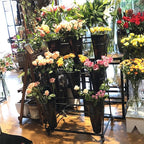 Flower Display Stand, Mobile Plant Cart shelve with Wheels, with Plastic Buckets, Easy to Install, Stepped Plant Stand, Suitable for Indoor and Outdoor Balcony Courtyard Garden Art Exhibitions ( Color