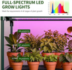 Indoor Greenhouse with Grow Light, 4-Tier 27.6"x19"x63" Mini Greenhouse with Roll-Up Zippered PVC Cover for Seed Starting Trays, Dimmable Grow Light Shelf for Indoor Plants with Timer