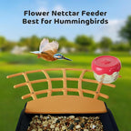 Birdkiss Smart Camera Bird Feeder with Solar Pannel, DIY Different Add-Ones Including Suet Ball, Jelly Feeder, Mini Hummingbird Feeder, Auto Capture Bird Full HD Videos, Ideal Present for Bird Lovers
