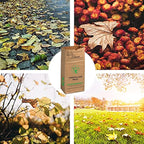10 Count 30 Gallon Lawn and Leaf Bags with Gardening Gloves, 2-Ply Heavy Duty Large Kraft Paper Bags | Tear Resistant Yard Waste Bag for Grass Clippings, Wet and Dry Leaves, Weeds, and Twigs
