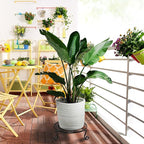 2 packs 12" Black Metal Plant Stands Heavy Duty Plants Holder Outdoor Indoor, Round Wrought Iron Sturdy Flower Planter Pot Stand, Corner Gardening Inside Potted Plant Risers - 12Inches