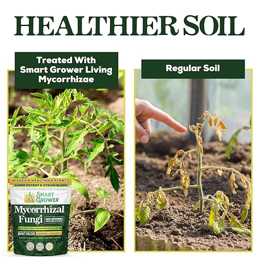 Mycorrhizal Fungi Organic Root Enhancer for Plants, Super Potent 100 Spores Per Gram, 5-Strain Blend, Rapid Results for Gardens, Houseplants, Lawns, Mycorrhizae Smart Grower 125 Grams for 125 Plants