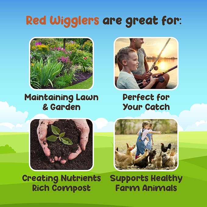 Red Wigglers Composting Worms - 2lb Red Worms for Composting Bin, for Plants or Gardening, Compost Worm for Soil Fertility & Worm Farm, Easy to Manage