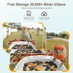 birdsnap® P33 - Bird Feeder with Camera Solar Powered, 2K Video Bird Camera Feeder Live with 32GB Card, AI Identify Feather Species, Auto Record in Backyard, for Birds Lover