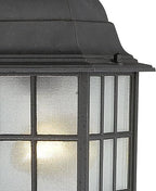Nuvo Lighting 60/4913 Adams One Light Hanging Lantern 100 Watt A19 Max. Frosted Glass Textured Black Outdoor Fixture