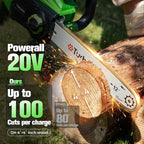 12" Cordless Chainsaw, 20V Battery Powered Chainsaw, Electric ChainSaw Cordless with 4.0Ah Battery and Charger, Brushless Rechargeable Chain Saw with Auto Lubrication for Wood Cutting, Tree Pruning