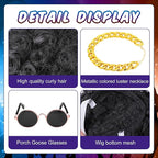 DECOHS 3 Pcs/Set Cool Porch Goose Outfits, Cool Lawn Goose Statue Costume Clothing, Porch Garden Goose Gold Chain Collar Costume Sunglasses Wig for Outdoor Patio Yard Decoration Pet Cosplay Party