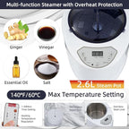 BOCHPOWER Portable Sauna Box, 3.0L Steamer, Remote Control, Folding Chair, 9 Levels