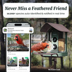 Beako™ Smart Bird Feeder with 4K Camera Lifetime Subscription Included, Solar Powered for Outdoors - Ultra HD Live Stream, AI identifies10,000+ Species, Real-Time Bird Notification, Easy Setup