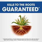 Roundup Weed & Grass Killer₄ with Sure Shot Wand, Use in and Around Flower Beds, Trees, and Driveways, 1 gal.
