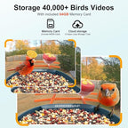 birdsnap® PAV- Bird Feeder with Camera Solar Panel, 2K HD & 64GB Card, AI Identify Bird Species Smart Bird House with Camera, Record Video Live View, Auto Capture, Ideal Gift for Birds Lover