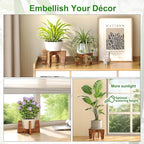 Plant Stands Indoor Outdoor, Plant Risers for Inside Pots Sturdy Short Plants Holder, Flower Pot Stand for Indoor Plants, Small Single Floor Plant Bamboo Display Stand (Brown 12“)