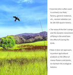 eyijklzo Bird Scarer Flying Kite Crops Farm Flying Bird Hawk Flying Kite