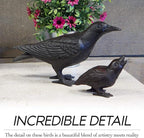 NACH Cast Iron Baby Crow Statue, Raven Garden Statues, Crow Garden Sculpture, Bird Figurines Home Decor, Crow Decor, Raven Decor, Black Bird Statue, 5.4 x 2.2 x 3.2 inches, JS-90-7116