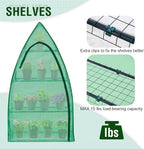 EAGLE PEAK 4-Tier Mini Greenhouse Portable Green House with Shelves & Weather-Resistant PE Cover, Small Greenhouse for Seedlings & Gardening Gifts, 35x18x63 in, Clear/Green