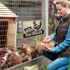 Funny Chicken Gifts Relax Local Egg Dealer Tin Sign for Home Farm Chicken Coop Farmhouse Kicthen Garden Decor 8 X 12 Inch (3522)