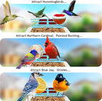 64GB Smart Bird Feeder with Camera Solar Powered, AI Identify 10K+ Bird Aves, 2K 3MP HD Live Video &Playback on Phone, 2.4G WiFi Birdhouse Camera Wireless Outdoor-Watching House (Light Blue)