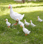 Realistic Duck Statues, Funny Duck Fence Decoration, Resin Duck Decor, Outdoor Animal Statue, Duck Sculpture, Perfect for Home Garden Stairs, Farm, Patio, Backyard (7 in)