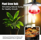 250W R40 Red Heat Lamp Bulbs (4-Pack), Infrared Heat Bulbs, Infrared Therapy Bulbs for Bathroom, Sauna, Pets & Chickens, 2,000 Hour Rated, E26 Base