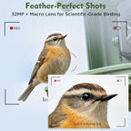 Bird Feeder with Camera, 4K UHD Video & 5G WiFi Live Stream, 32MP with AI Bird ID for 10,000+ Species, 2 Solar Powered, Birdhouse Camera for Outdoor Backyard Birdwatching Gift