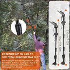 2-in-1 Cordless Pole Saw & 6 Inch/4 Inch Mini Chainsaw, Electric Pole Saw for Tree Trimming with 2x 21V 3.0Ah Batteries & Charger, Battery Powered Pole Chainsaw for Wood Cutting,13FT Max Reach