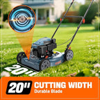 SENIX 144 cc Gas Lawn Mower, 20 inch 4-Cycle Push Mower, Side Discharge, 5 Position Cutting Height Adjustment, Low Noise & Fuel-Efficient for Lawn, Yard and Garden (LSPG-L5)