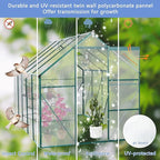 Favfurish 6X10 FT All Season Heavy Duty Walk-in Greenhouses, Outdoor Polycarbonate Plants Green House for Backyard Garden, Sliding Door Raised Base Anchor Aluminum, Green