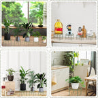 Metal Plant Stands, Anti-Rust Iron Flower Pot Stand, Heavy Duty Plant Pot Shelf, Decoration Racks for Home Indoor and Outdoor 10 Pcs (Green)