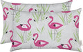 RSH DECOR: Lumbar Throw Pillows Set of 2 | 20” x 12" | All-Weather Spun Fabric | Water and Fade-Resistant | Outdoor Support Pillows for Patio Furniture | Groove Pink Flamingo