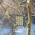 FLINTER Bird Feeder for Outdoors, Suet Feeder Hanging Bird Feeder, Hanging for Garden Yard Outside - Single Suet Cake Feeders fo Attracting Birds, Green