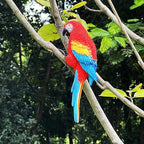 Realistic Parrot Sculpture Resin Hanging Parrots Garden Statues Lifelike Bird Figurines Landscape Ornament Patio Yard Lawn Figurine Tree Decor, Outdoor Garden Wall Statues (Red)