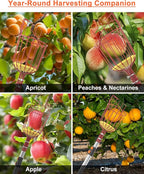 AgiiMan 5 to 20 FT Fruit Picker Pole - Reach to 26 FT Fruit Picker with Telescopic Extension Pole, Lightweight and Sturdy Aluminum Telescopic Pole, Easy to Assemble Fruit Picking Basket