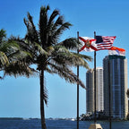 ROTERDON Florida Flag 3x5 Outdoor, 210D Heavy Duty FL State Flags Outside, Embroidered Stars and 2 Stitch Hemmings, Double Sided Banner with 2 Brass Grommets