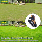 HFH Lawn Aerator Shoes for Grass，Aeration Shoes for Lawn，Spike Shoes for Lawn Aerating (Buckle)