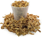 Premium New Zealand Sphagnum Moss by Gardenera - Organic Hand Mixed Long Fibered Sphagnum Moss Orchid - 2 Quart