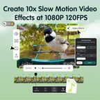 Humbirdy-Bird Feeder with Camera, 8MP Ultra HD Video & Photo, 10x Slow-Motion, 4K 30fps Live View, AI Identify, No Subscription, 2.4G/5G Wi-Fi, Solar Powered, Wildbird Watching Gifts-Metal