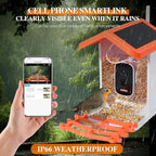 Smart Solar-Powered Bird Feeder with AI Camera - 1080P HD Auto-Capture, Motion Detection & Birds Species Recognition, WiFi Connectivity, for Bird Enthusiasts