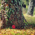 1Pc Red Fairy Garden Door for Tree,Fairytales Door Decoration for Trees Outdoor and Tree Trunk, Mini Fairy Garden Sculpture Lawn Ornament Decor