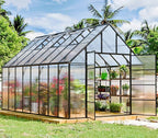 Outdoor Polycarbonate Greenhouse Kit,16x10x10 FT Large Outsides Aluminum Frame Heavy Duty Green House with Transparent Panels Windows Door for Backyard Garden,Walk in Plant Greenhouses,Black Frame
