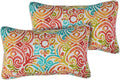 FUNHOME Set of 2 Patio Lumbar Pillows with Insert, 12”x20” Water-Repellent Outdoor Lumbar Pillow, Decorative Garden All Weather Lumbar Cushions for Patio Coach Sofa Use-Corinthian Dapple