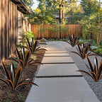 TOMBABY Enlarge Thickened Wind Resistant Metal Agave Garden Art Plant Country Garden Sculpture Statue Outdoor Decoration Agave Metal Plant Courtyard Ornament Gift (2, 12 Leaves Black)