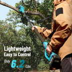 SEESII 2-in-1 Electric Pole Saws: 2-in-1 Brushless Mini Chainsaw Cordless 6 Inch, 2 x 4000mAh Batteries Limb Saw for Tree Trimming, Chain Saw with Extension Pole for Branch Cutter,P6 Ace